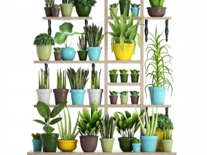 picking plants in pots 3D Model