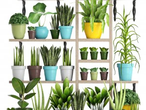 picking plants in pots 3D Model