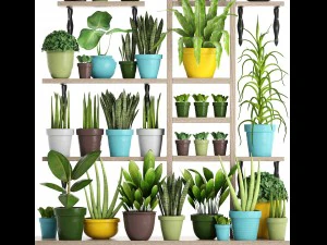 picking plants in pots 3D Model