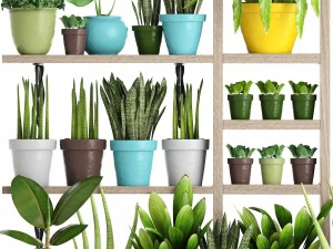 picking plants in pots 3D Model