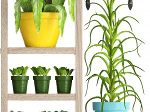 picking plants in pots 3D Model