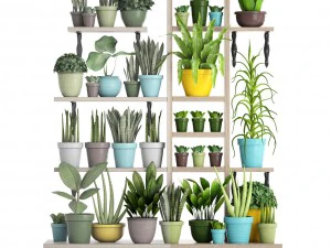 picking plants in pots 3D Model