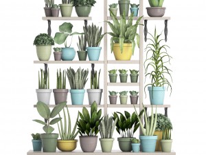 picking plants in pots 3D Модель