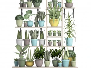 picking plants in pots 3D Model