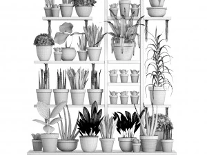 picking plants in pots 3D Model