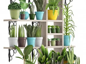 picking plants in pots 3D Model