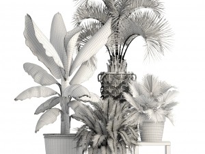 collection of plants Modello 3D