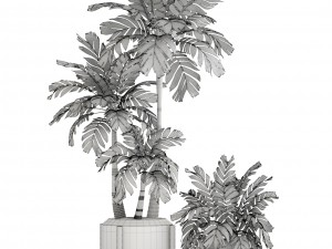 collection of plants palms 3D Model