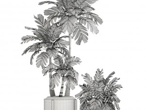 collection of plants palms 3D Model