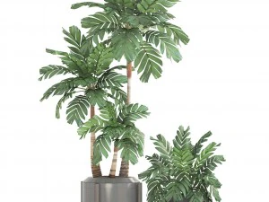 collection of plants palms 3D Model