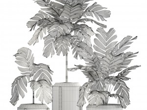 collection of plants palms 3D Model