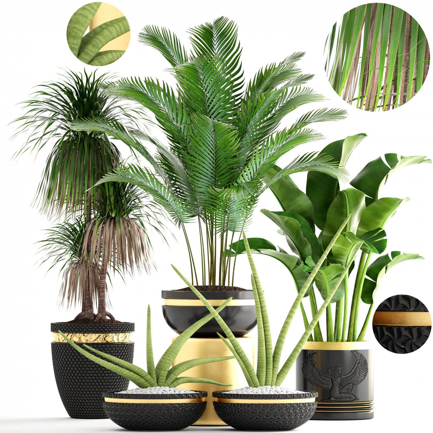collection plants 3D Model .c4d .max .obj .3ds .fbx .stl .blend