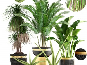 collection plants 3D Model