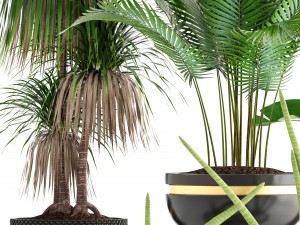 collection plants 3D Model