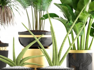 collection plants 3D Model