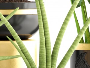 collection plants 3D Model