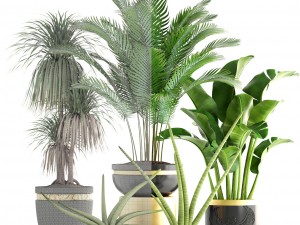 collection plants 3D Model