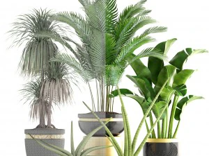 collection plants 3D Model