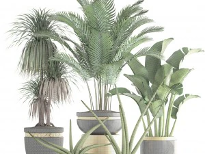 collection plants 3D Model