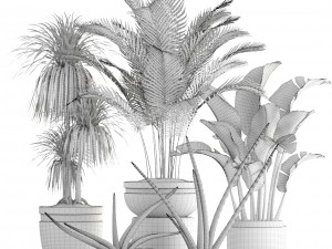 collection plants 3D Model
