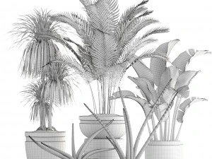 collection plants 3D Model