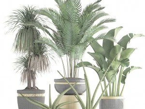 collection plants 3D Model