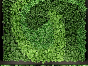 vertical gardening 3D 模型