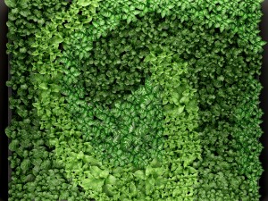 vertical gardening 3D Модель
