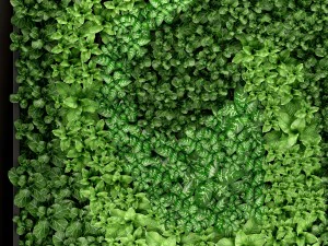 jardiner&iacute;a vertical Modelo 3D