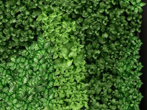 vertical gardening 3D Модель