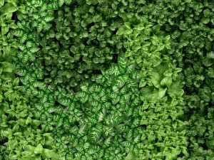 vertical gardening 3D Модель
