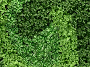 jardiner&iacute;a vertical Modelo 3D