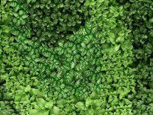 vertical gardening 3D Модель