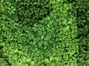 jardiner&iacute;a vertical Modelo 3D