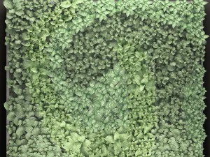 jardiner&iacute;a vertical Modelo 3D