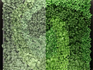 vertical gardening 3D Модель