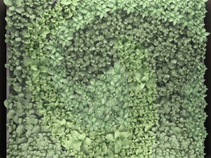 vertical gardening 3D Модель