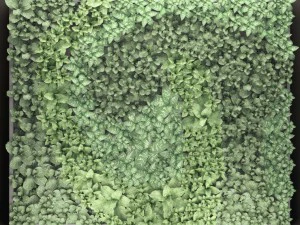 jardiner&iacute;a vertical Modelo 3D