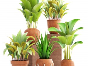 collection of plants 3D मॉडल
