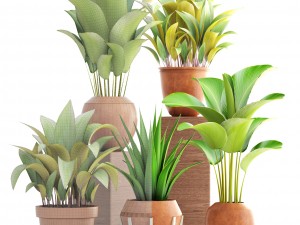 collection of plants 3D मॉडल