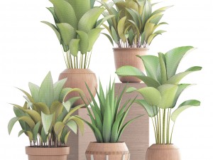 collection of plants 3D मॉडल