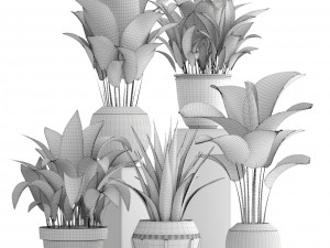 collection of plants 3D मॉडल