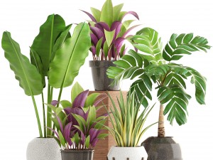 collection of plants 3D 模型