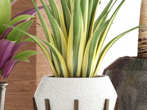 collection of plants 3D 模型