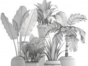 collection of plants 3D 模型
