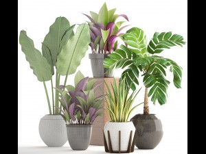 collection of plants 3D 模型