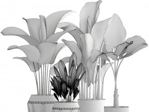 collection of plants 3D-Modell