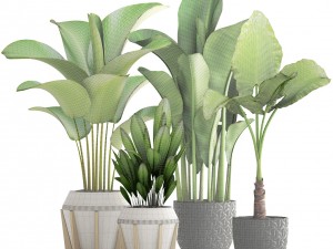 collection of plants 3D-Modell