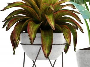 collection of plants 3D Model