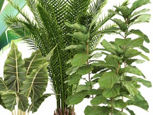 collection of plants 3D Модель